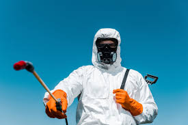 Best Real Estate Pest Inspections  in Bangor, MI